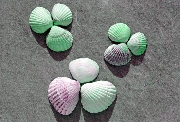 Decoración vivienda